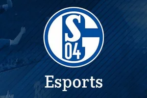 Schalke zarobiło duże pieniądze na sprzedaży sekcji